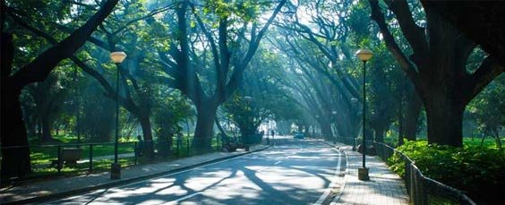 Cubbon Park